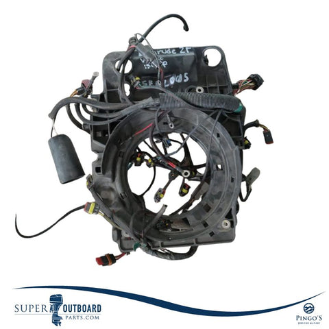 ARNES ELECTRICO MOTOR EVINRUDE E150DBXINE O587010