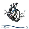 ARNES ELECTRICO MERCURY 30/40EFI 0T409000 878132T3